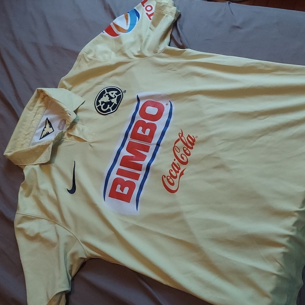 Club America jersey 13=14